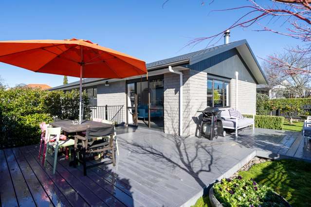 Sunny, Renovated Sanctuary in Central Cambridge