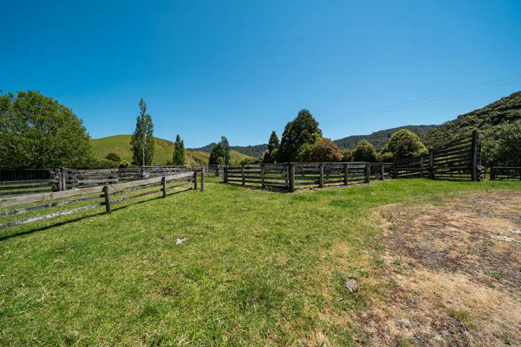 375 Kaimarama Road Kaimarama_21