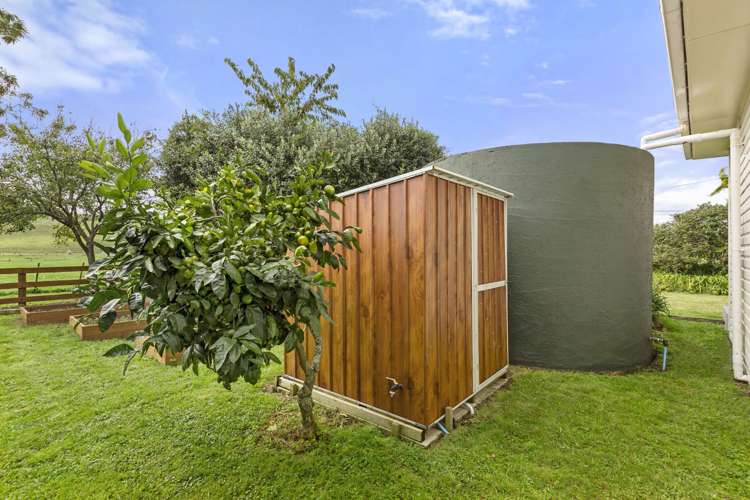 853 Tahuroa Road Morrinsville_26