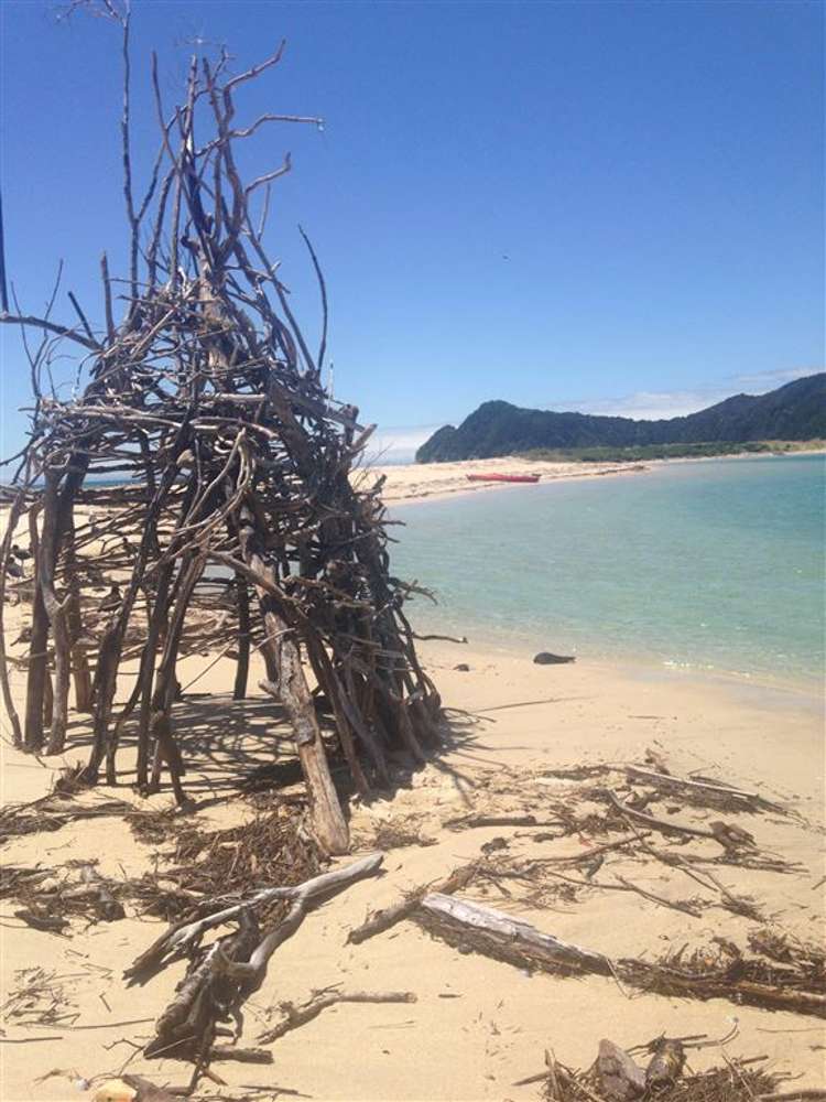 29 Awaroa Inlet Awaroa Bay_36