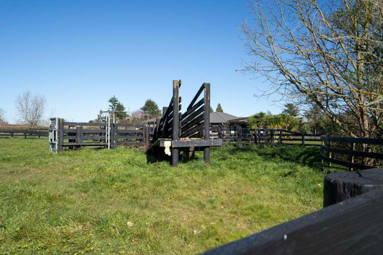 146 French Pass Road Cambridge_20