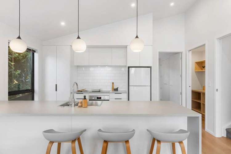 19a Hartland Avenue Glendowie_2