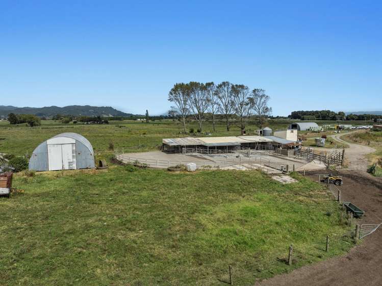 379B Powdrell Road Awakeri_8