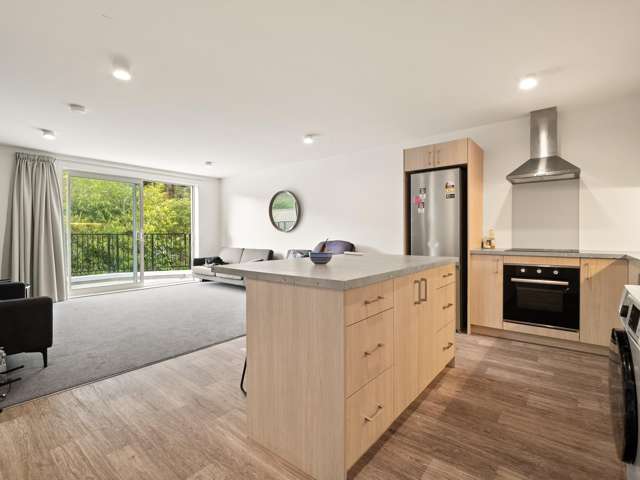 1 2 3/33 Malvern Street, Woodhaugh_1