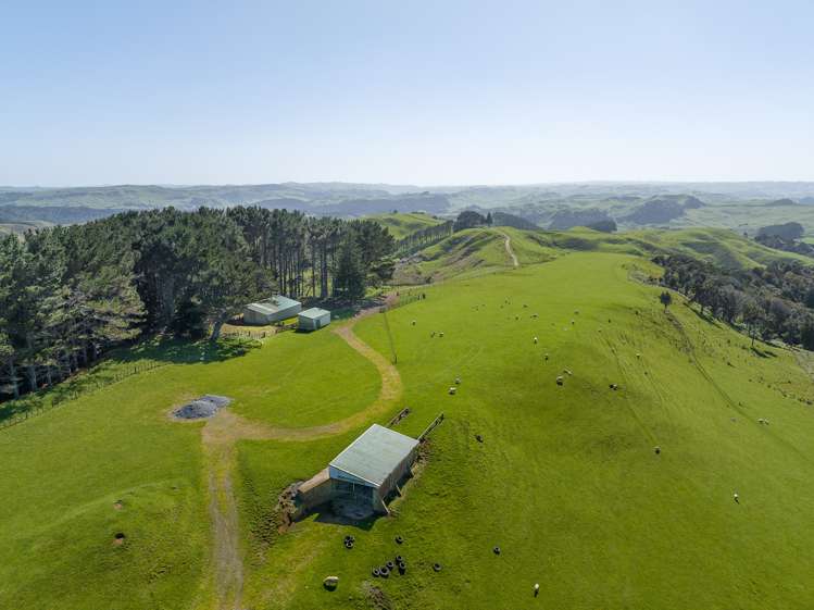 45 Te Akau Coast Road Te Akau_3