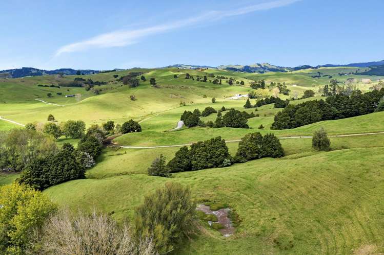 282B Callaghan Road Maromaku_32