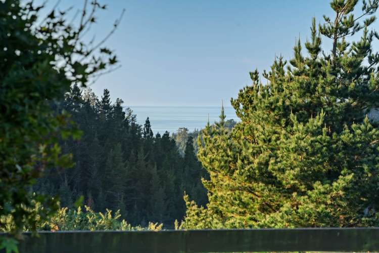 415 Rocky Cutting Road Kaimai_19