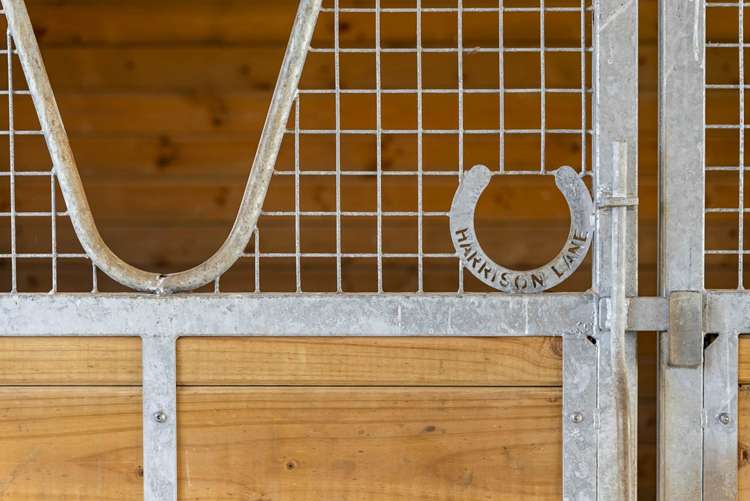 47 Sanctuary Drive Glenbrook_5