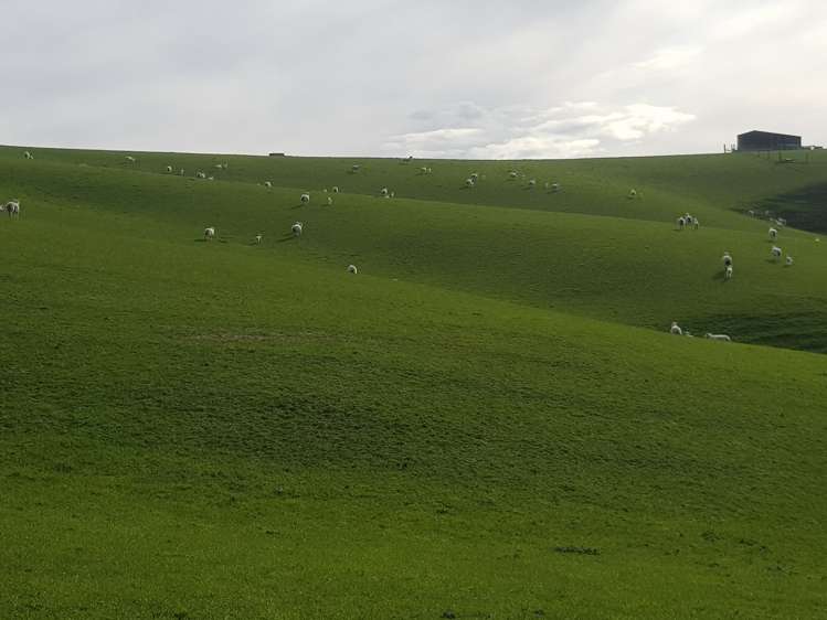 Hillend Road Balclutha_12