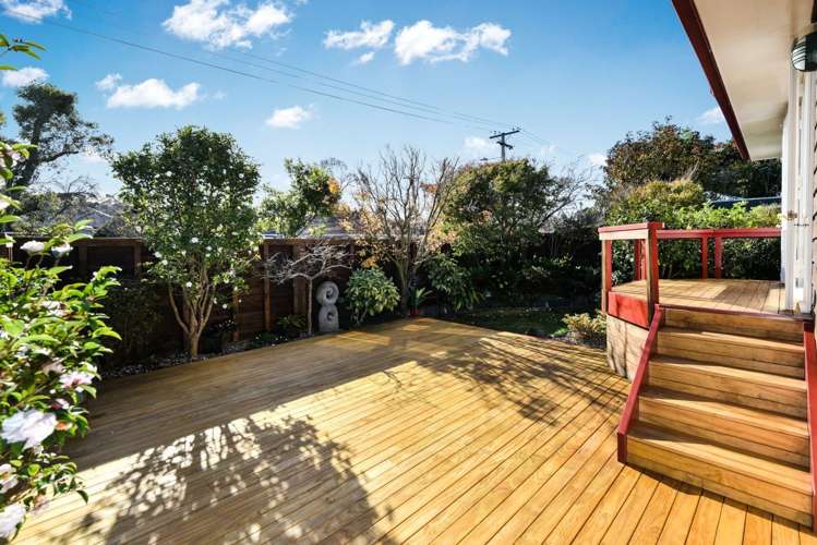 1/9 Amaru Road One Tree Hill_11