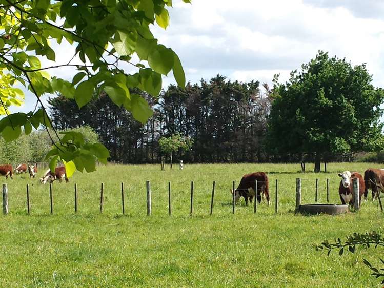 460 Waihoehoe Road Drury_9