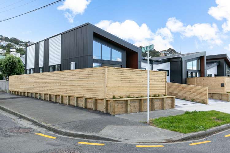 1 Palm Avenue Lyall Bay_22