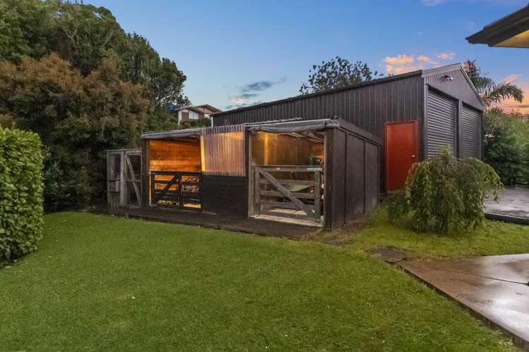 309 Kahikatea Flat Road Waitoki_22