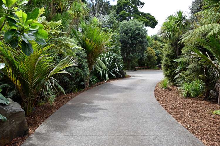 23b Sarah Todd Lane Waimauku_17