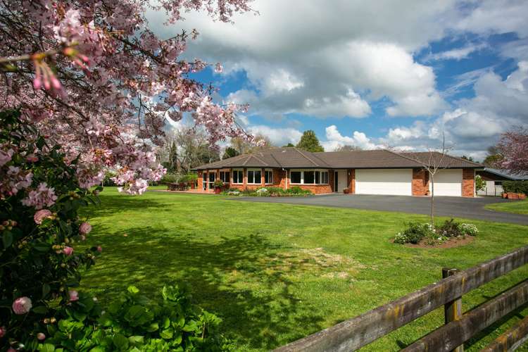 4/102 Herbert Street Kihikihi_23