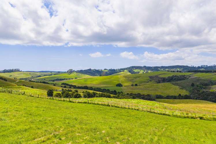 33 Blomfield Court Mangawhai_9