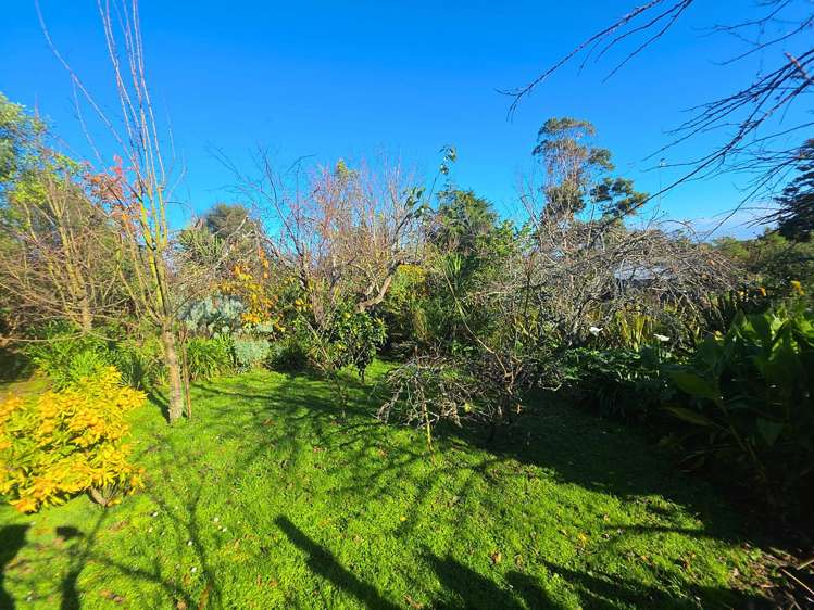 18 Terrace Street Marton_30