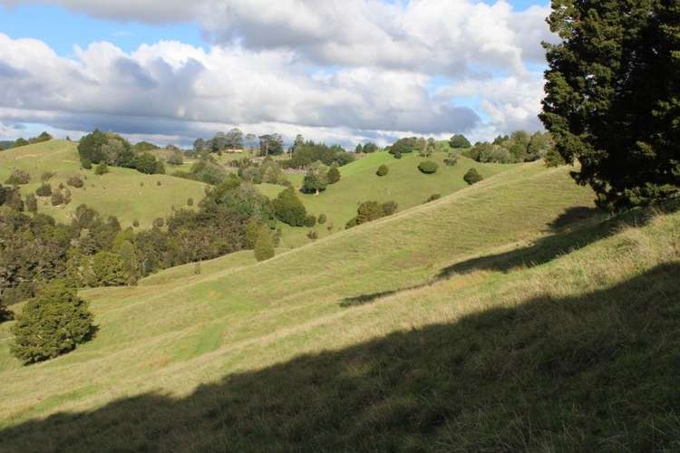 Pipiwai Road Ruatangata_13