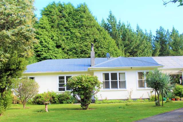 565 Birch Road East Herbertville_3