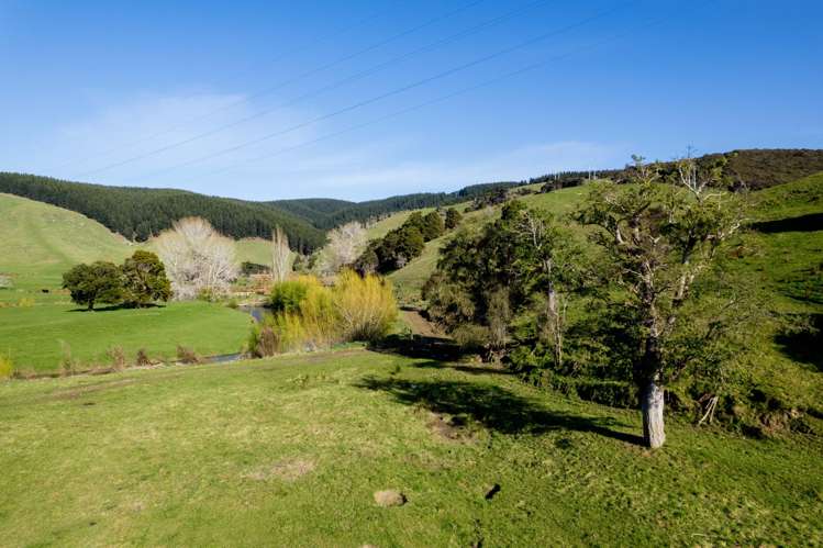 90 Shaw Road Berwick_37