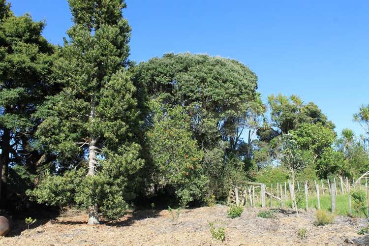 212 Huarau Road Whakapirau_23