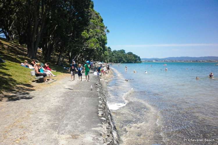 3 Saint Michaels Avenue Point Chevalier_21