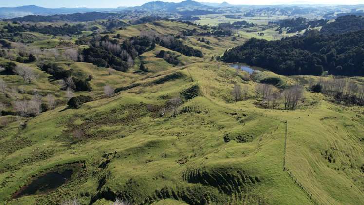 1493 Pukehuia Road Arapohue_4