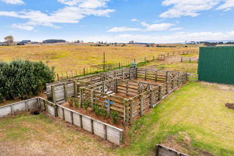 70 Baylys Coast Road Dargaville_28