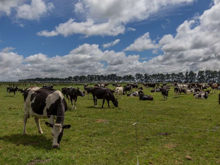 1287 Old South Road Bankside_16