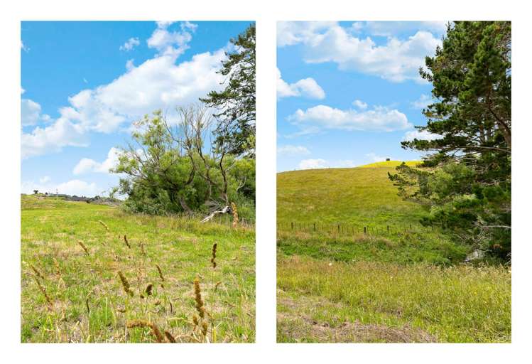 425 Tuhimata Road Ramarama_6