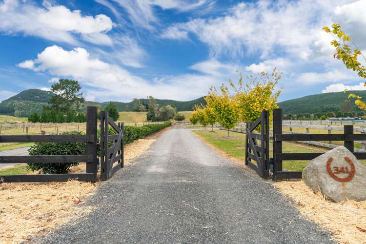 341 White Road Broadlands Forest_23