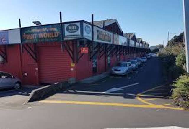 955 New North Road Mount Albert_4