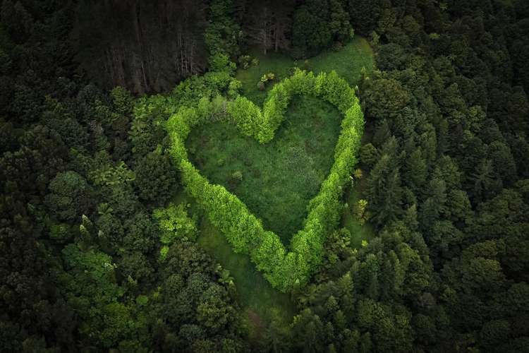 5 Hall Lane Kaipara Flats_18