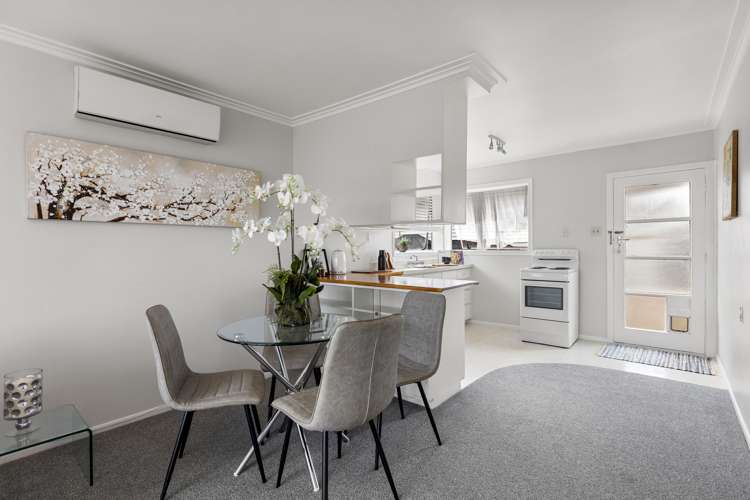 20 Middlesex Road Waterview_6