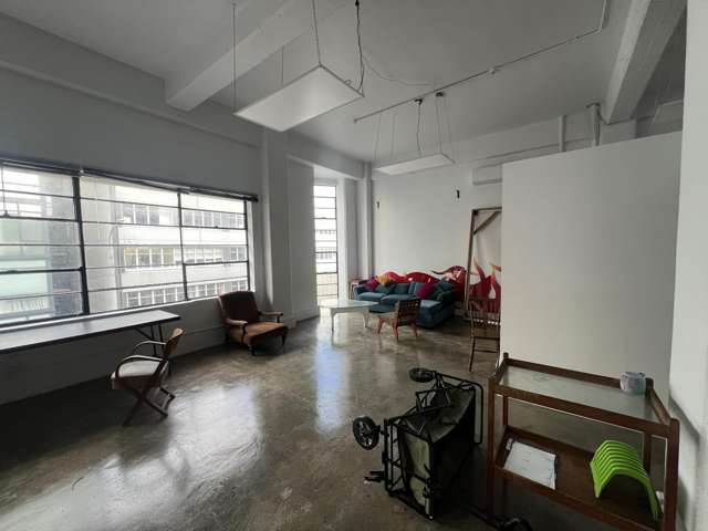 233 Willis Street Te Aro_1