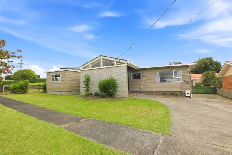 295 Bridgman Road Te Awamutu_27