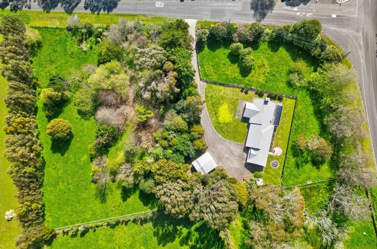 7 Francis Road Westmere_26