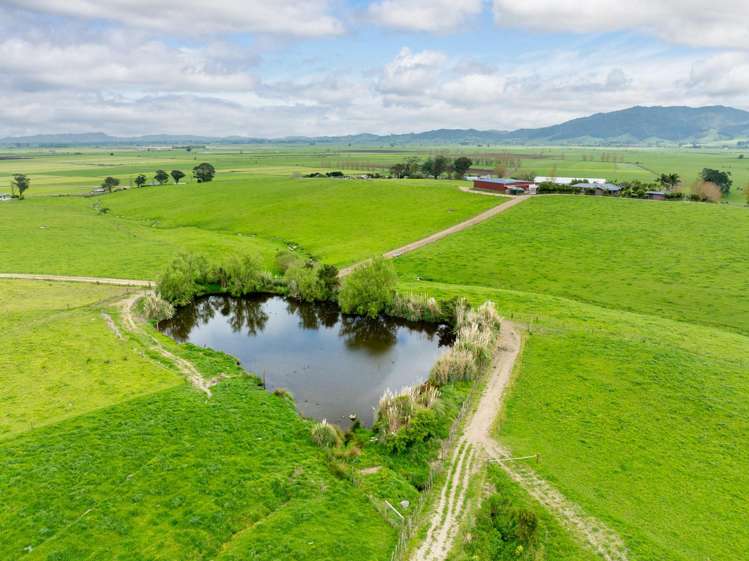435 and 452 Tainui Road Morrinsville_32
