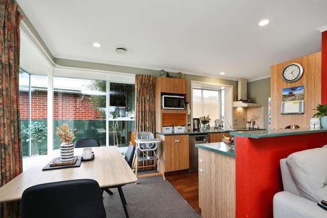 59 Harland Street Tinwald_1