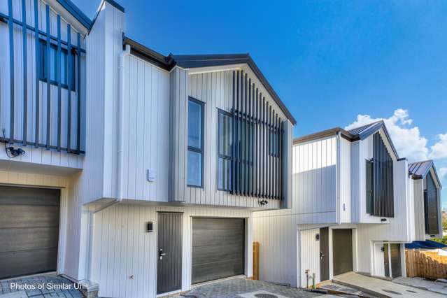 Lot 2/3 Catton Crescent Mount Roskill_2