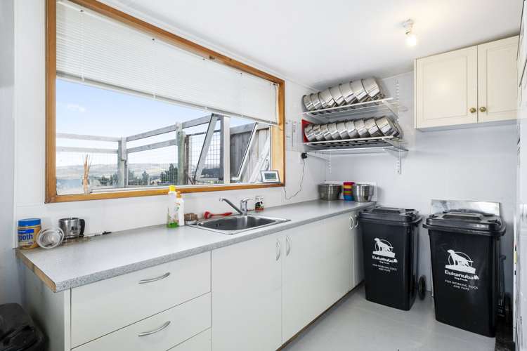 251 Fletcher Road Milton_6