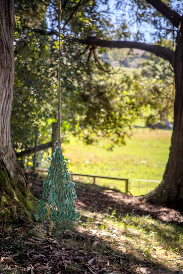 145b Helenslee Road Pokeno_22