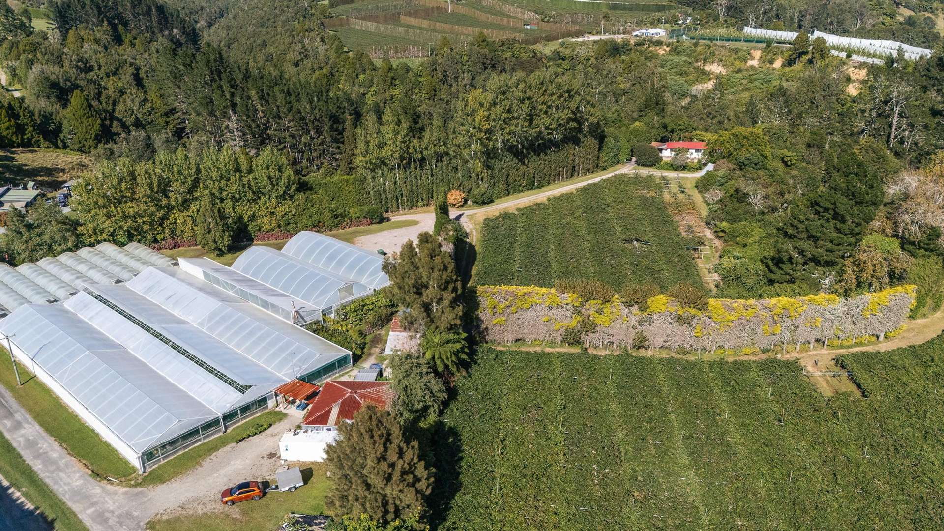 1164 No 3 Road Te Puke_0