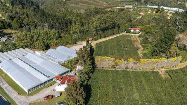 Start Your Orchard Ownership Journey Here