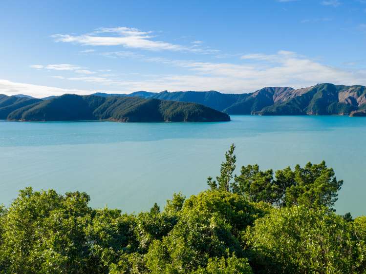 1711 Port Underwood Road Port Underwood_2