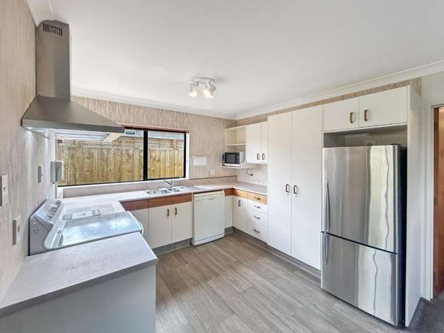 48a Roy Street Palmerston North_1