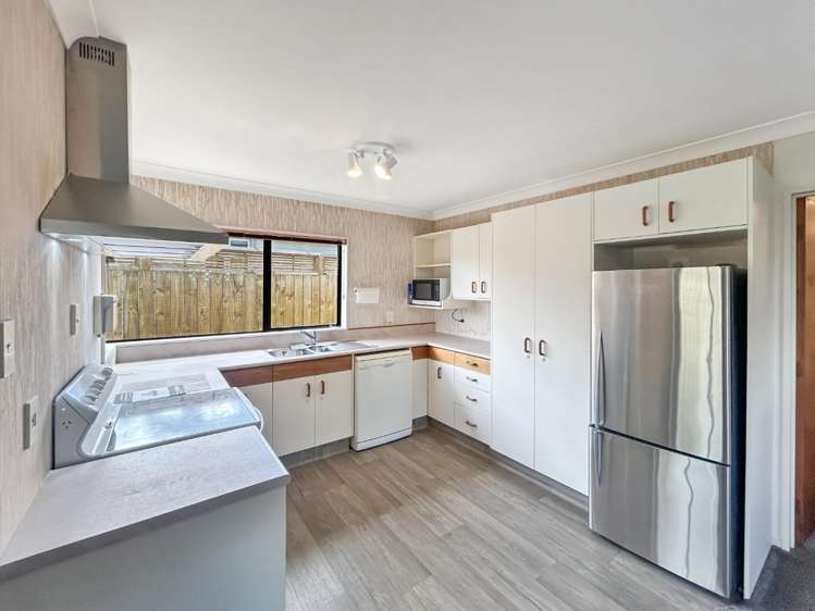 48a Roy Street Palmerston North_1