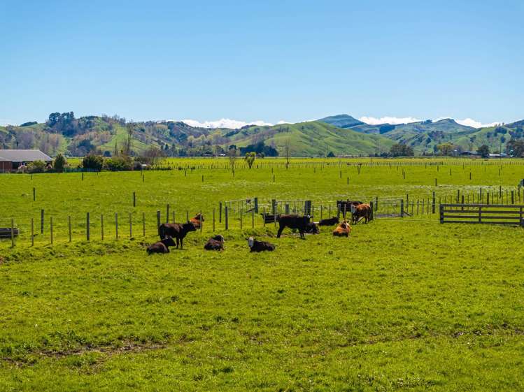 211 Masterton Castlepoint Road Castlepoint_10
