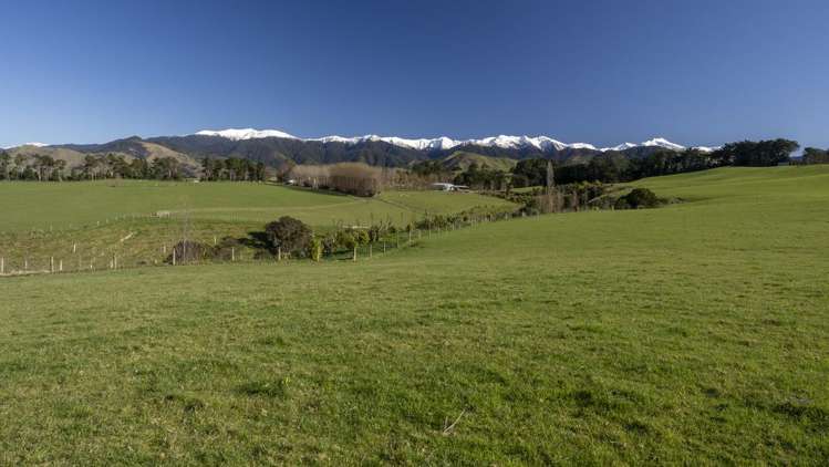 Burnetts Road Masterton_18