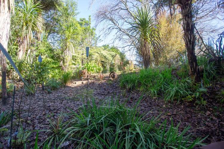 115 Regent Heights Thames_15